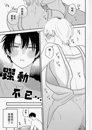 第211頁圖