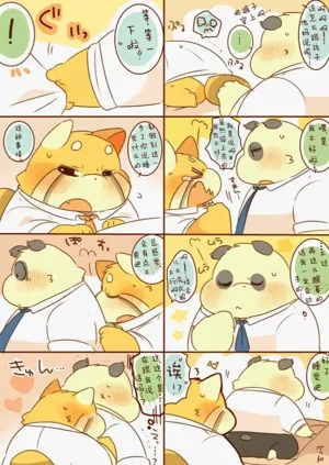第11页图