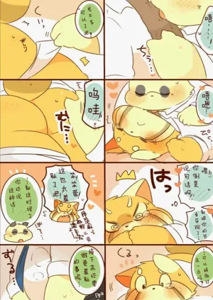 第17页图