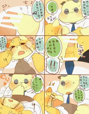 第20页图