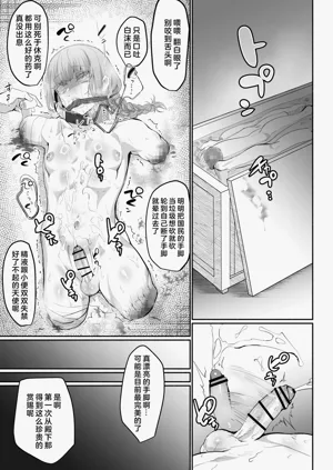 第17页图