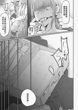 第33页图