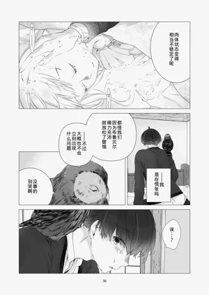 第29頁圖