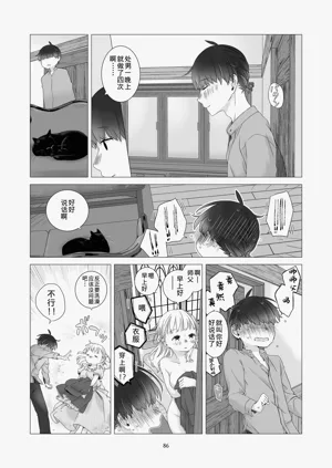 第85頁圖