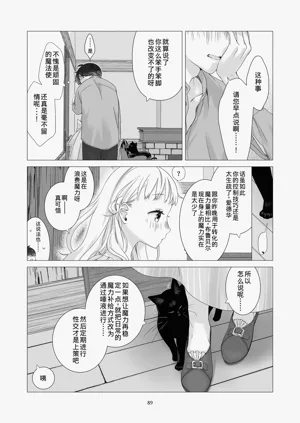 第88頁圖