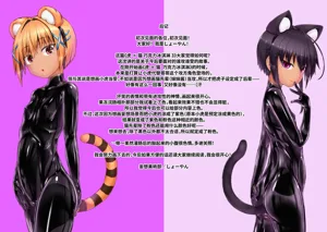 第39頁圖
