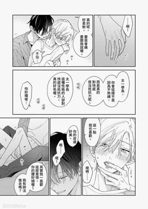 第215頁圖