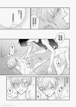 第221頁圖