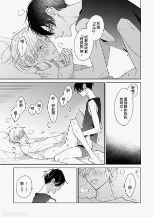 第223頁圖