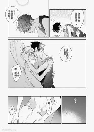 第238頁圖