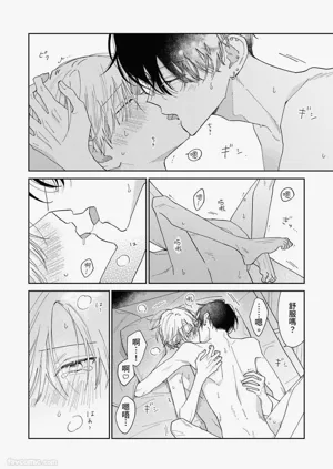 第241頁圖