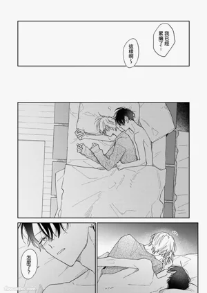 第243頁圖