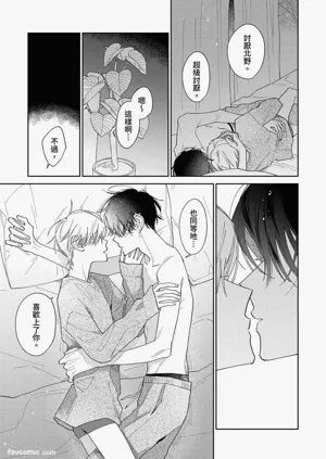 第248頁圖