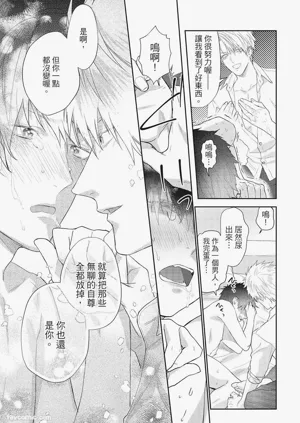 第142頁圖