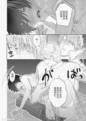 第221頁圖