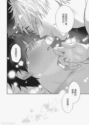 第231頁圖