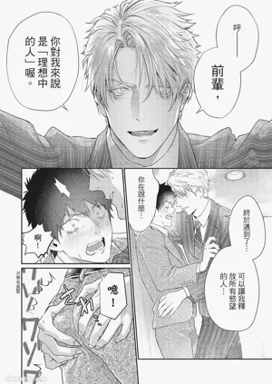 第33頁圖