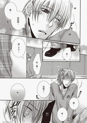 第113頁圖