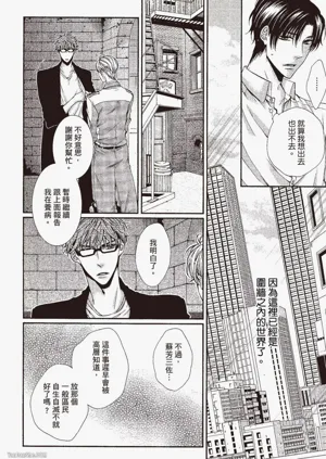 第142頁圖