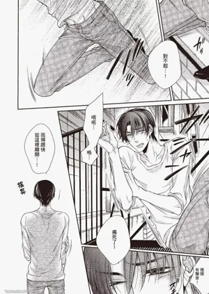 第188頁圖