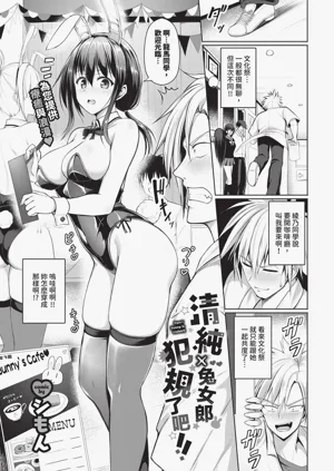 第491頁圖