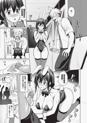 第501頁圖
