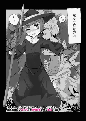 第2页图