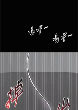 第256頁圖