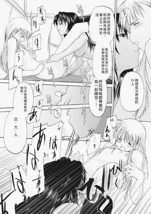 第243頁圖