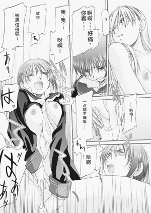 第261頁圖