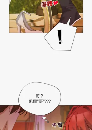 第208頁圖