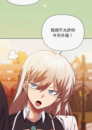 第215頁圖