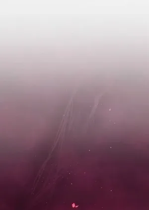 第50頁圖