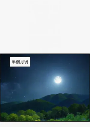 第233頁圖