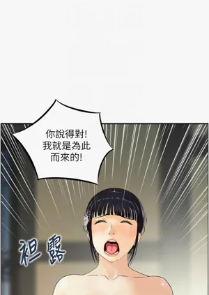 第240頁圖