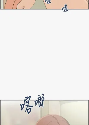 第334頁圖