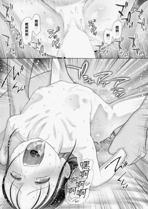 第29頁圖
