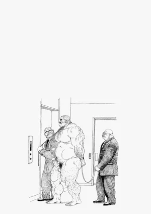 第33页图