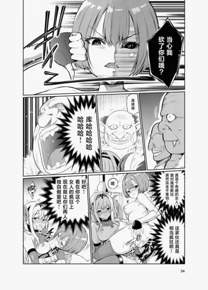 第33页图