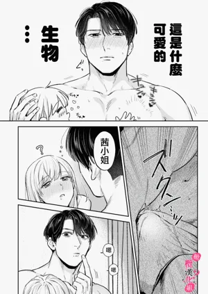 第141頁圖