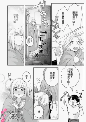 第419頁圖
