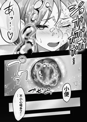 第17页图