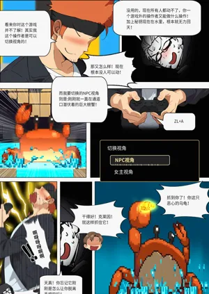 第295页图