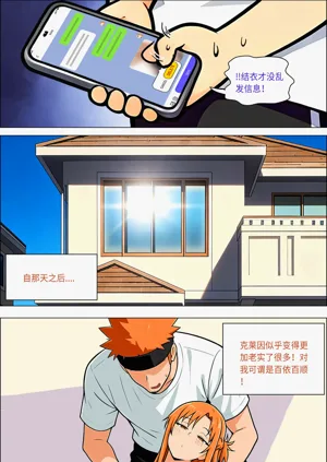 第666页图