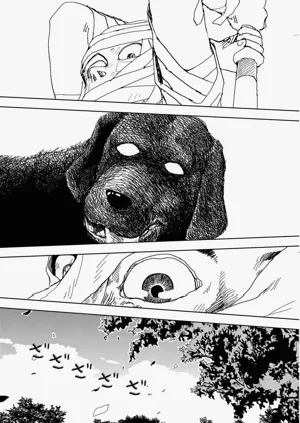 第181頁圖