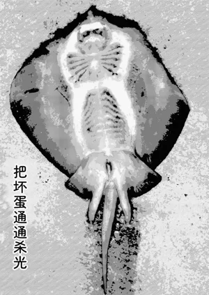 第303頁圖