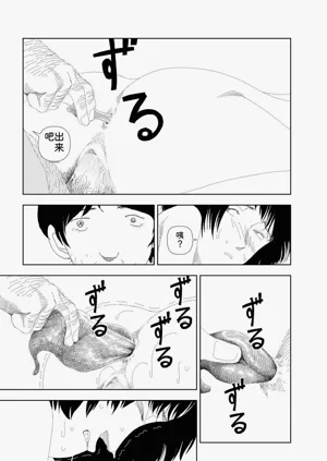 第315頁圖