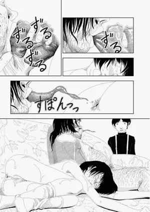 第317頁圖