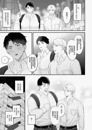 第4页图