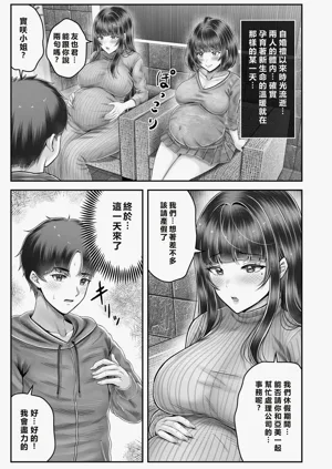 第213頁圖